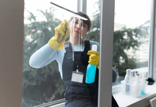 Nettoyage de vitres intérieures et extérieures à Saint-Didier-des-Bois